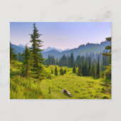 Mountain & Forest Landscape Washington State ポストカード (正面)