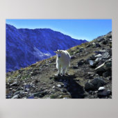 Mountain Goat ポスター (正面)