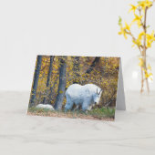 Mountain Goat birthday card looks at you. カード (黄色い花)