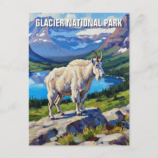 Mountain Goat in Glacier National Park Travel ポストカード (正面)