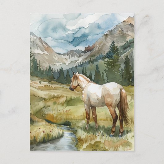 Mountain Horse ポストカード (正面)
