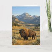 Mountain Landscape American Bison Blank カード (正面)