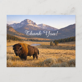 Mountain Landscape American Bison Thank You ポストカード