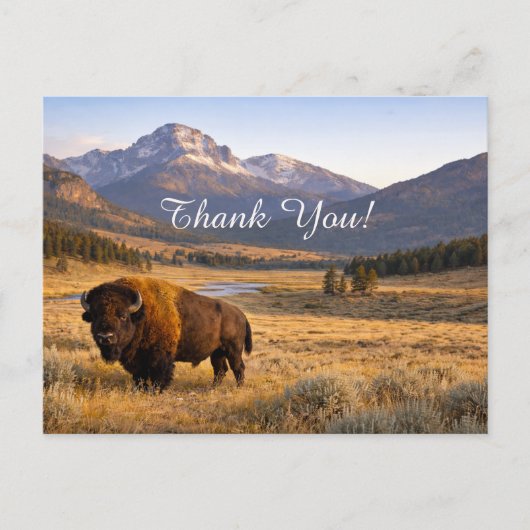 Mountain Landscape American Bison Thank You ポストカード (正面)