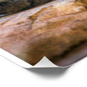 Mountain Lion Wildlife Wall Art Photo Nature Print ポスター (コーナー)