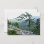 Mountain Pine Tree – Nature’s Resilience Photo ノートカード (正面)