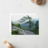 Mountain Pine Tree – Nature’s Resilience Photo ノートカード (正面/裏面インサイチュ)