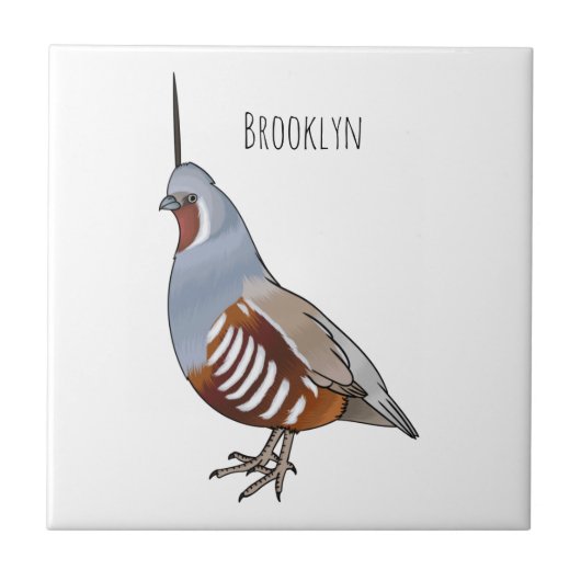 Mountain quail bird cartoon illustration  タイル (正面)