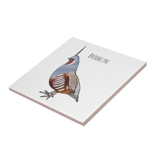 Mountain quail bird cartoon illustration  タイル (側面)