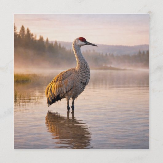 Mountain Serenity Color Palette Card 招待状 (裏面)