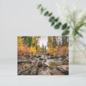Mountain Stream in Autumn/秋写真 ポストカード (スタンド正面)