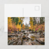 Mountain Stream in Autumn/秋写真 ポストカード (正面/裏面)