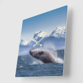Mountains | Breaching Whale Glacier Bay, Alaska スクエア壁時計 (傾斜)