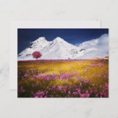 MOUNTAINS FIELD FLOWERS LANDSCAPE POSTCROSSING ポストカード (正面/裏面)