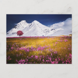 MOUNTAINS FIELD FLOWERS LANDSCAPE POSTCROSSING ポストカード