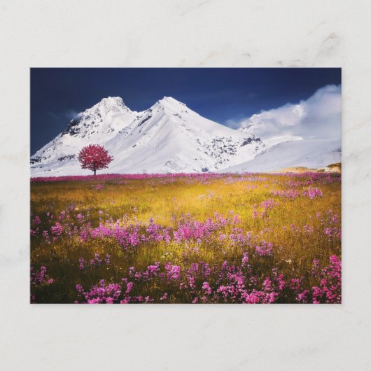 MOUNTAINS FIELD FLOWERS LANDSCAPE POSTCROSSING ポストカード (正面)