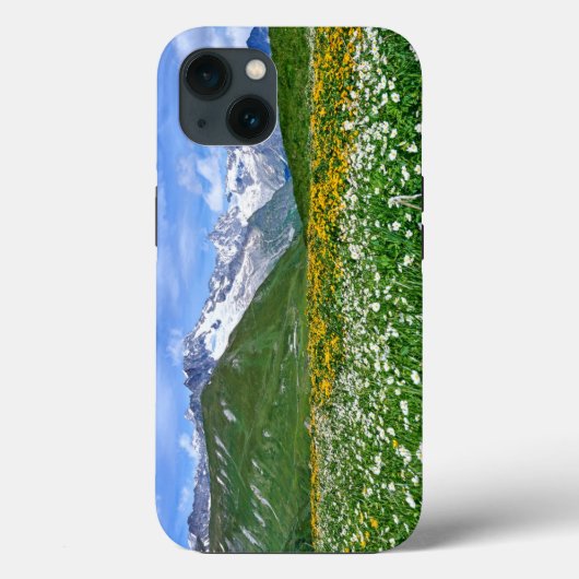 Mountains | Swiss Alps Valley Spring Case-Mate iPhoneケース (裏面)