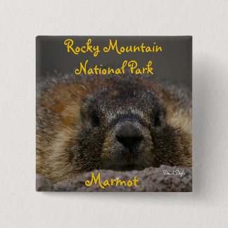 Mountianの岩が多い国立公園のMarmot 缶バッジ