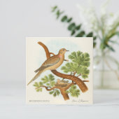 Mourning Dove by Edwin L. Sheppard (スタンド正面)