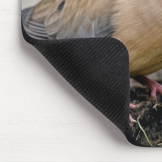 Mourning Dove On a Gutter With a Worm マウスパッド (コーナー)