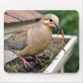 Mourning Dove On a Gutter With a Worm マウスパッド (正面)