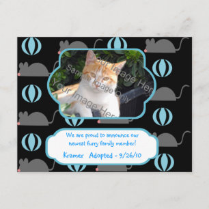 Mouse Boy Cat Adoption写真アナウンスメントカード 案内状