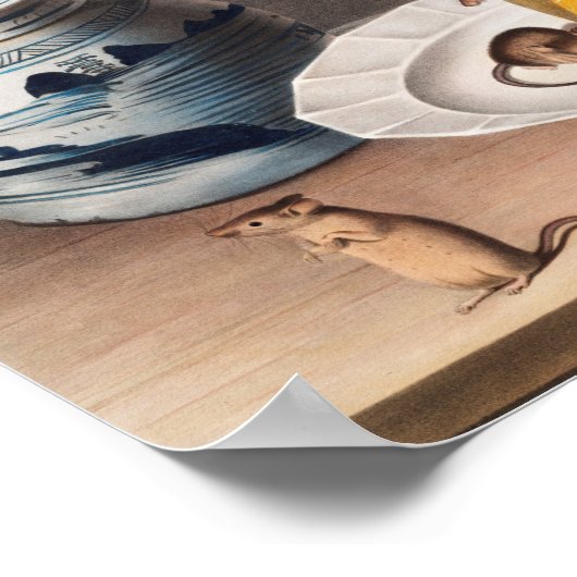 Mouse (Mus-musculus) Illustration ポスター (角)