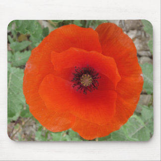 Mouse Pad. Poppy (Amapola) マウスパッド