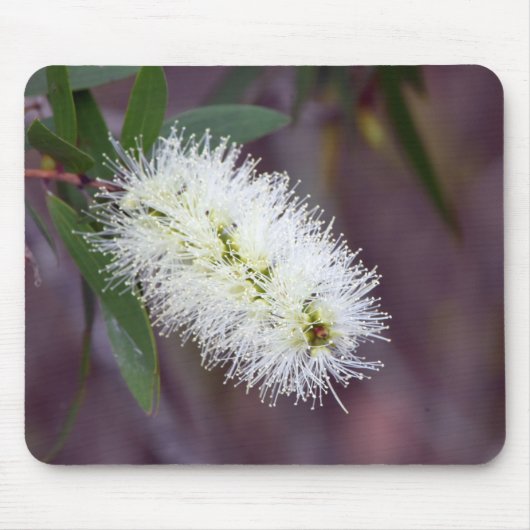 mousepadのマクロ写真の植物 マウスパッド (正面)