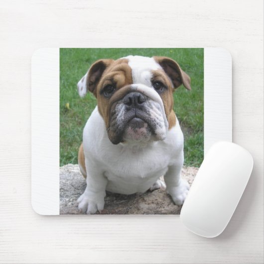 mousepad マウスパッド (マウス)