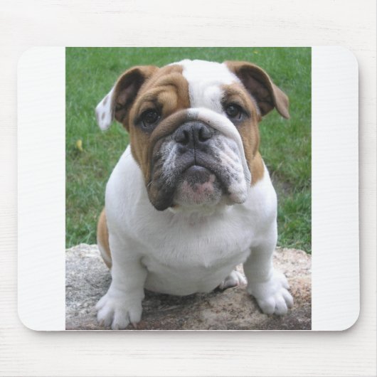 mousepad マウスパッド (正面)