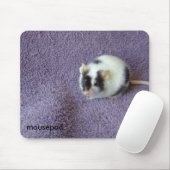 mousepad. マウスパッド (マウス)