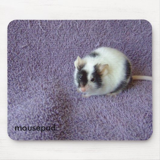 mousepad. マウスパッド (正面)