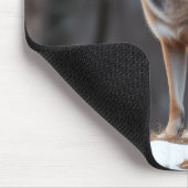 Mousepad  マウスパッド (コーナー)