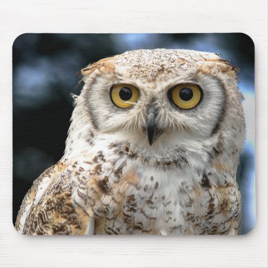 Mousepad Canadian Owl マウスパッド (正面)