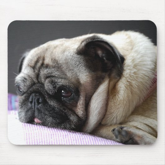 Mousepad Mops Carlin Pug マウスパッド (正面)