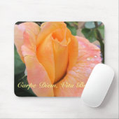 Mousepad--Orange Rose With Raindrops マウスパッド (マウス)