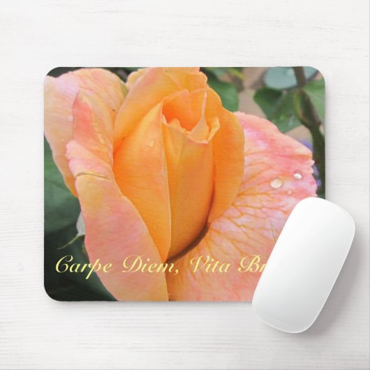 Mousepad--Orange Rose With Raindrops マウスパッド (マウス)
