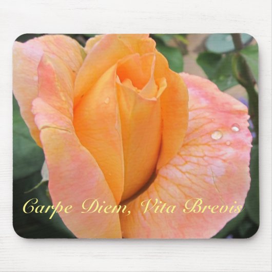 Mousepad--Orange Rose With Raindrops マウスパッド (正面)
