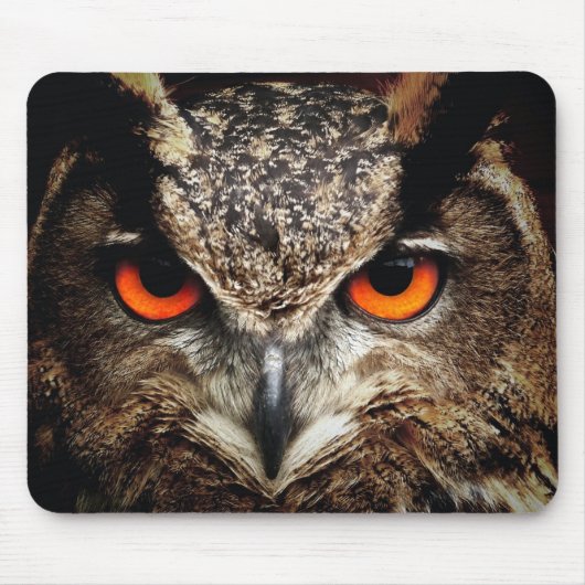 Mousepad - Owl マウスパッド (正面)