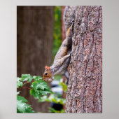 Mouthful ポスター (正面)