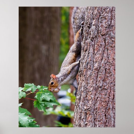 Mouthful ポスター (正面)