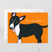 Moved Bull Terrier Dog New Address 案内ポストカード (正面/裏面)