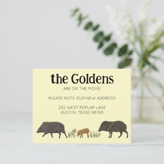 MOVINGアナウンスJAVELINAファミリーサウスウエスト ポストカード (スタンド正面)