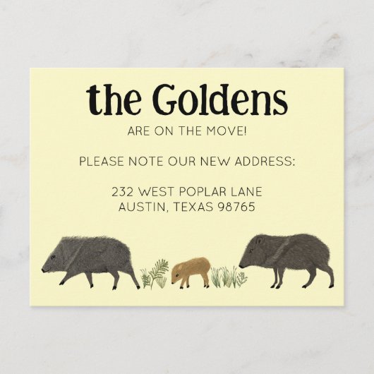 MOVINGアナウンスJAVELINAファミリーサウスウエスト ポストカード (正面)