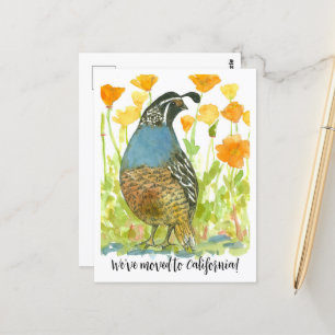 Moving Announcement California Quail Poppies ポストカード