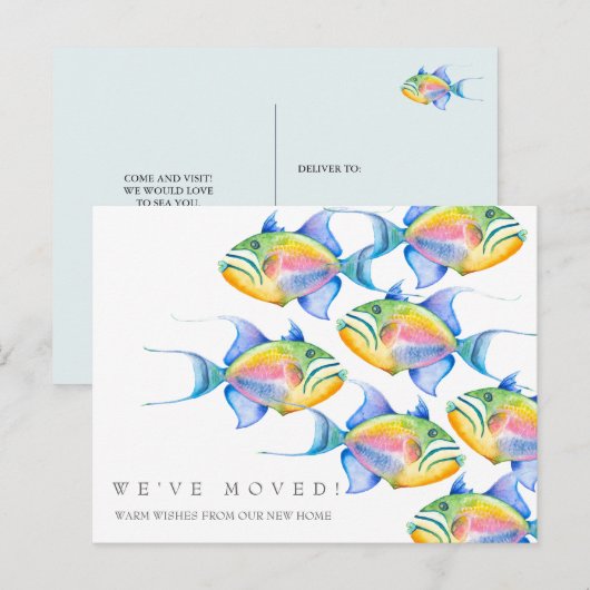 Moving Announcement Card カラフル Tropical Fish ポストカード (正面/裏面)