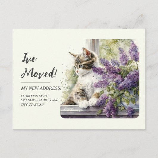 Moving Announcement Cat Window Lavender Flowers ポストカード (正面)