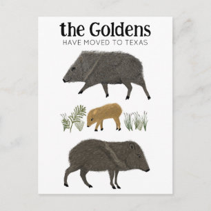 MOVING ANNOUNCEMENT Javelina Family Desertテキサス州 ポストカード