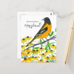 Moving Announcement Maryland Baltimore Oriole ポストカード